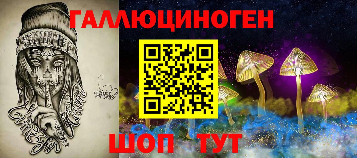 Шадринск  Галлюциногенные грибы Psilocybine cubensis  Псилоцибиновые грибы GOLDEN TEACHER  Вход с VPN 